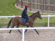 BP210325-11 - Squire Danagher